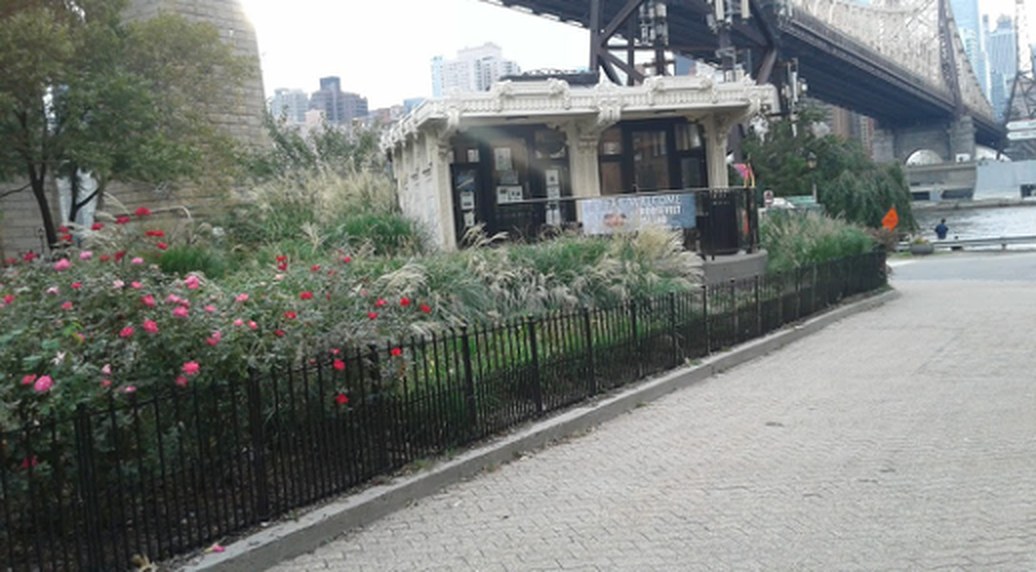 The 1930s trolley kiosk that houses the RIHS Visitor Center, beneath the Queensboro Bridge, with its rose garden in bloom.
