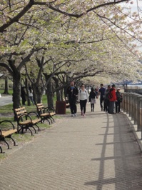Historical tour image: Promenade